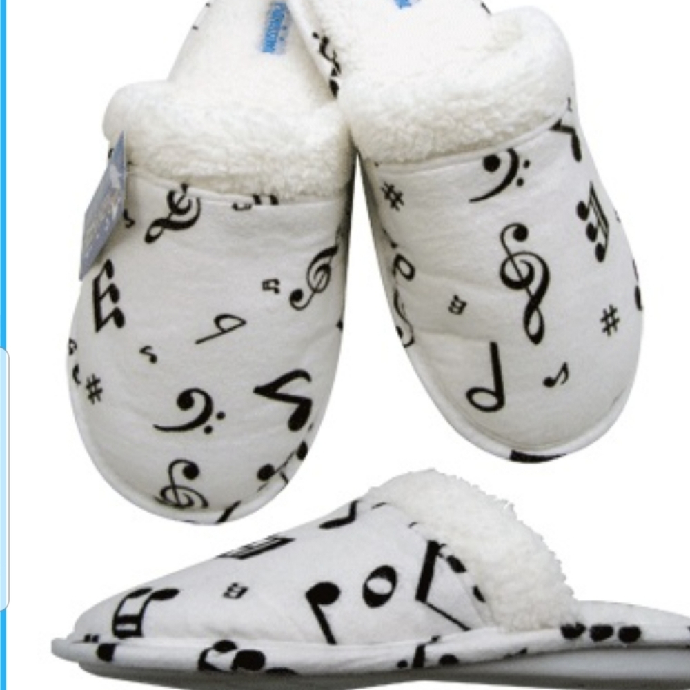 Music note slippers